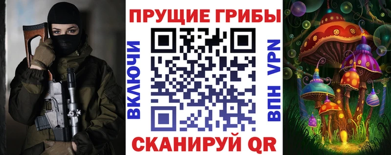 наркота  Городовиковск  Галлюциногенные грибы Cubensis 