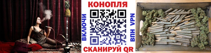 дарнет шоп  Городовиковск  МАРИХУАНА ГИДРОПОН 